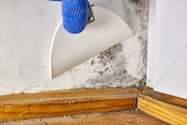 Mold Documentation for Insurance Claims in Manteca, CA